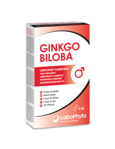 Ginkgo Biloba extra fort (60 gélules)