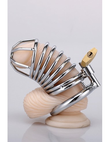 Cage à pénis Snake Shape - XXX Dreamtoys