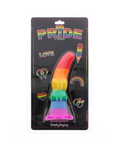 Plug arc en ciel Cheeky Boytoy - ToyJoy