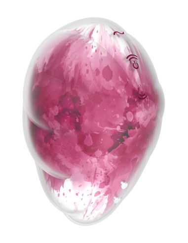 Stimulateur sans contact et vibrant Cloud Dancer - satisfyer