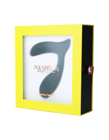 Stimulateur prostatique connecté Pulsation - Adrien Lastic