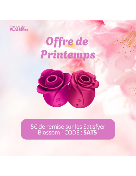 Stimulateur clitoridien Satisfyer Pro 2 Classic Blossom
