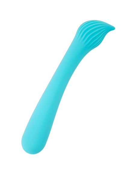 Vibro rechargeable Passionmania bleu - FairyGasm