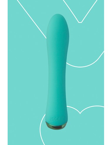 Vibro rechargeable WowGenie vert - FairyGasm