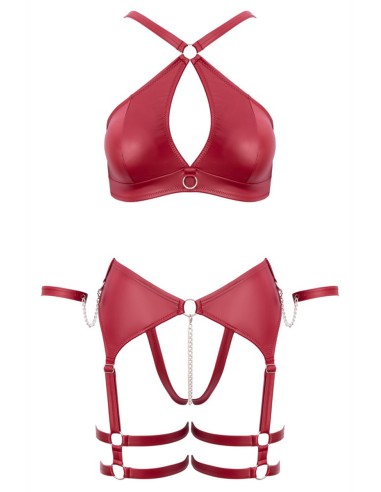 Ensemble BDSM bordeaux - Cotelli Bondage