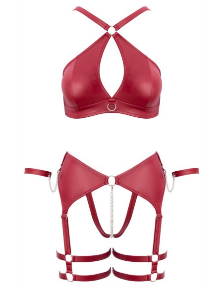 Ensemble BDSM bordeaux - Cotelli Bondage