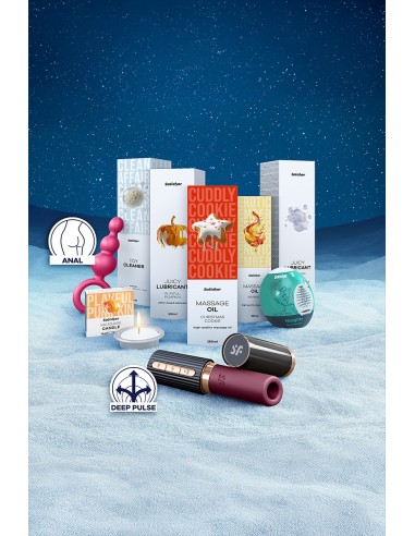 Calendrier de l'Avent Satisfyer Premium 2025