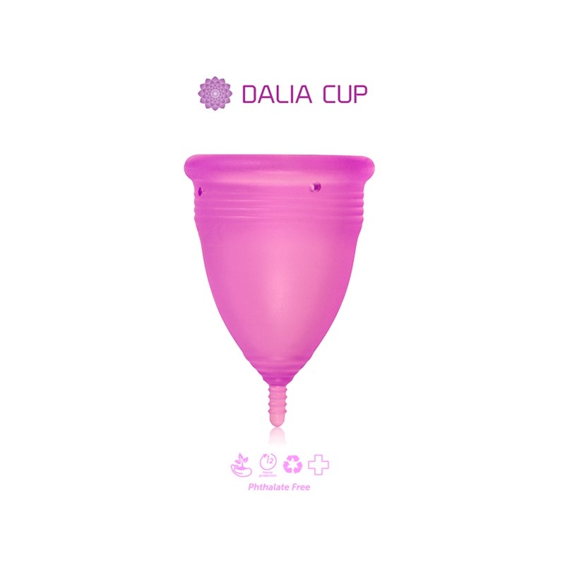 Dalia Cup 