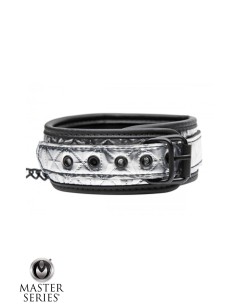 Collier argenté avec laisse - Master Series 2