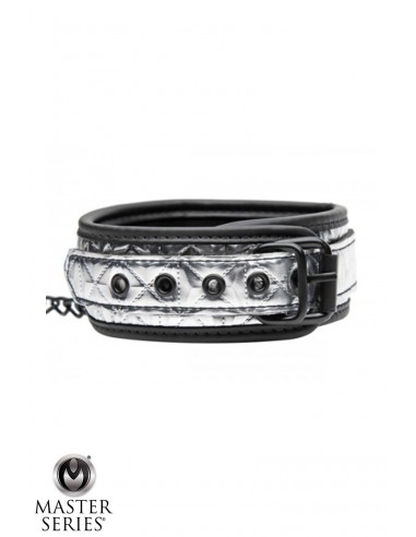 Collier argenté avec laisse - Master Series