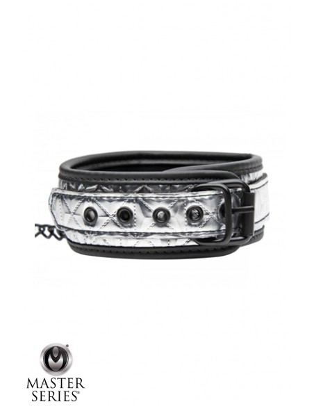 Collier argenté avec laisse - Master Series